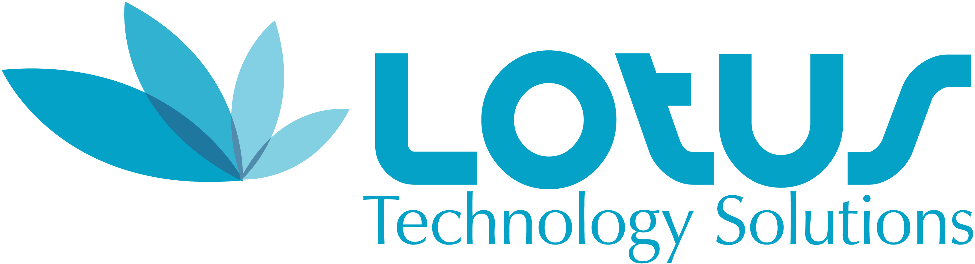 Lotus Technology Solutions LLC
